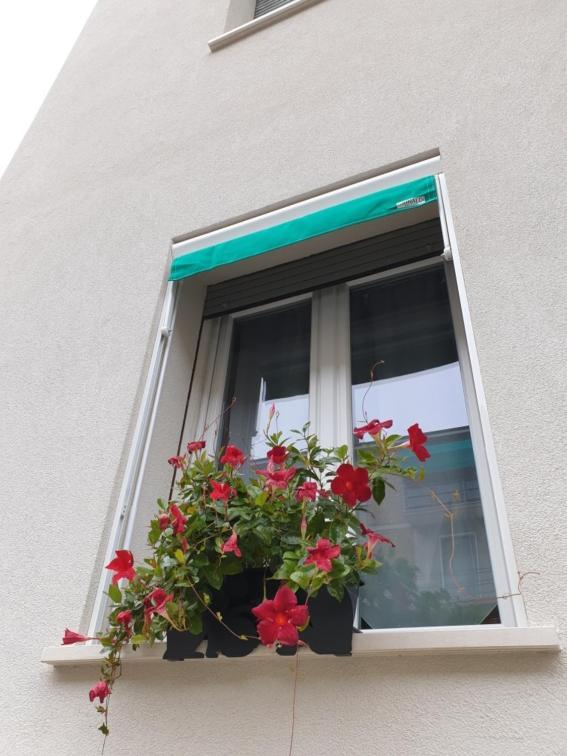 A Casa Di Elsa Apartment Castenaso Exterior photo
